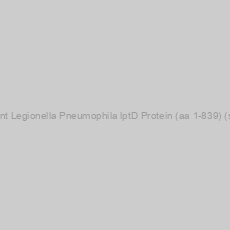 Image of Recombinant Legionella Pneumophila lptD Protein (aa 1-839) (strain Paris)